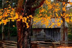 英雄联盟全球总决赛冠亚军决赛四川打响