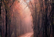 官方明确划定(dìng)红線(xiàn)，关于直播电商平(píng)台