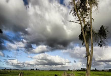 斗鱼直播美股跌8% Q2直播收入降27%月活跌破4000万